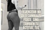 Gonher GYM
