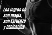 Gimnasio Performance Gym