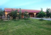 Hacienda “El Olivo”