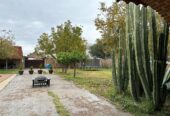 Hacienda “El Olivo”