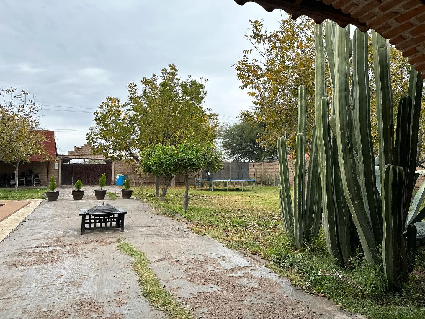 Hacienda “El Olivo”