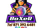 Boxer sonido disco