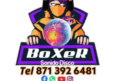 Boxer sonido disco